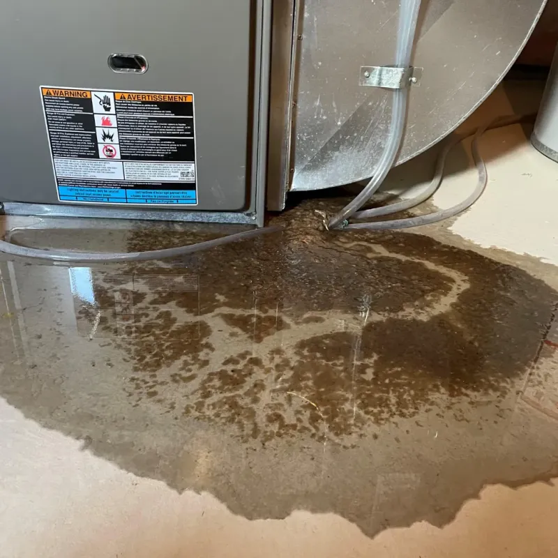Appliance Leak Cleanup in Wardsville, MO