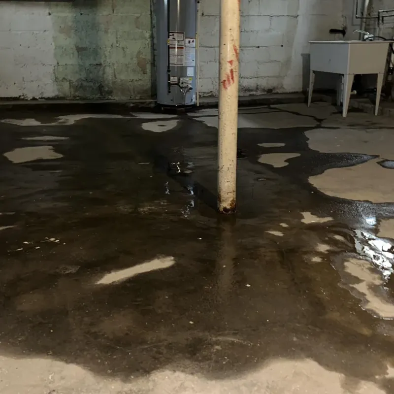 Emergency Water Extraction And Removal in Wardsville, MO